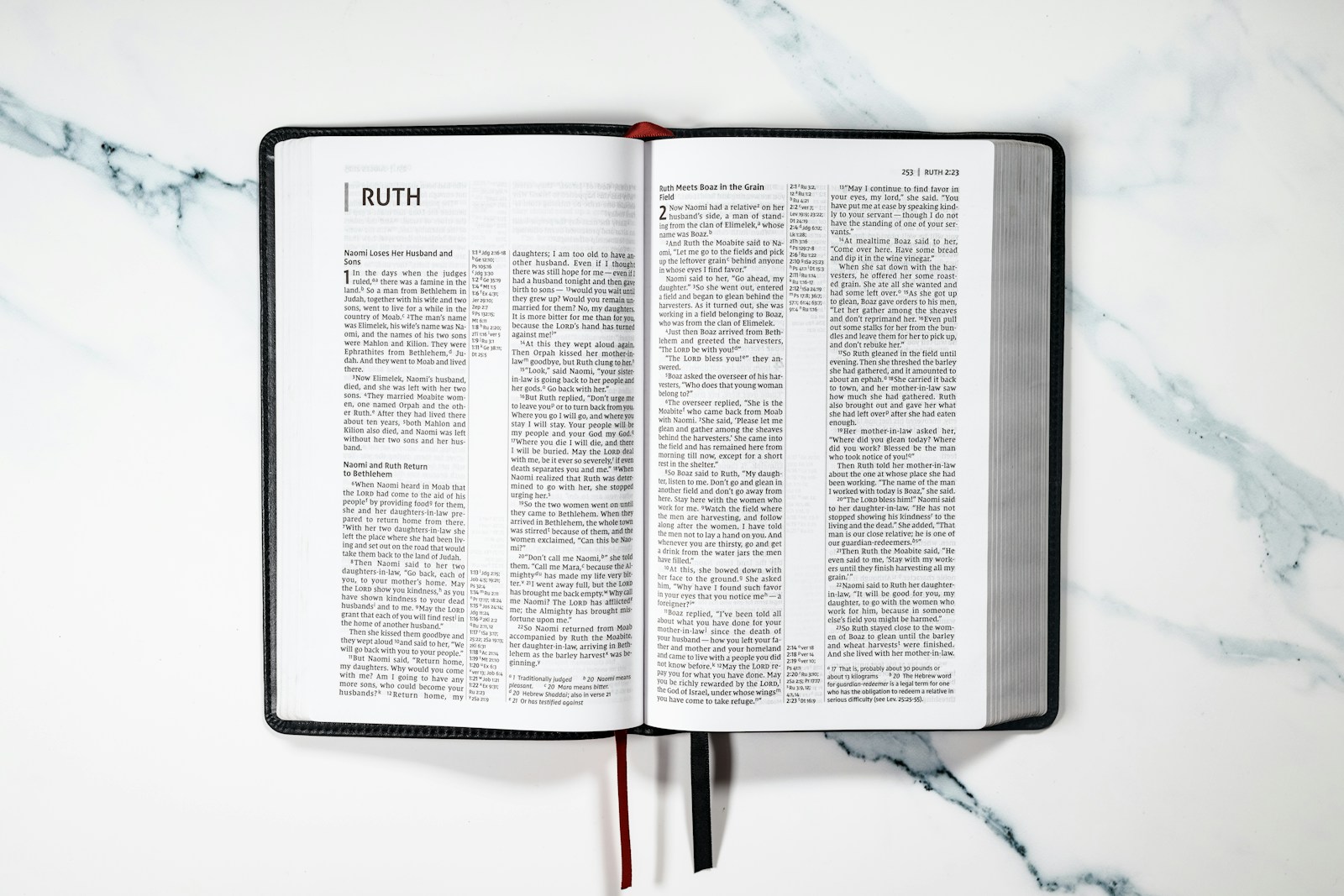 Public Participation